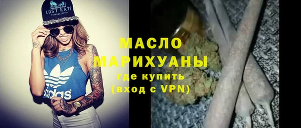 индика Арсеньев