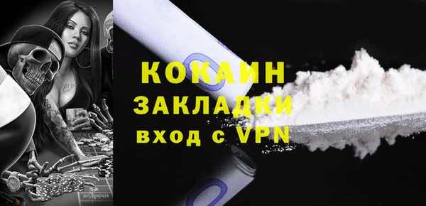 индика Арсеньев
