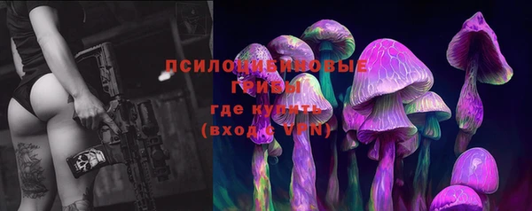 индика Арсеньев