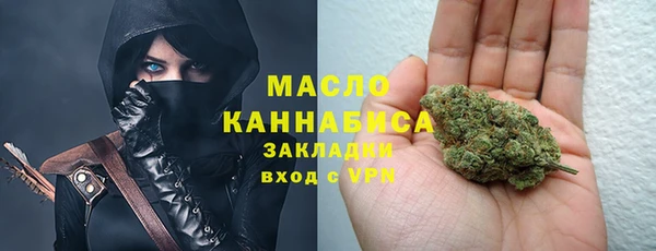 индика Арсеньев