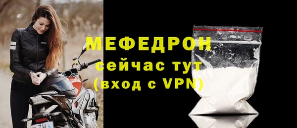 индика Арсеньев