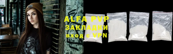 индика Арсеньев