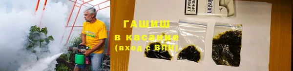 индика Арсеньев