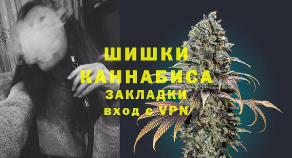 индика Арсеньев