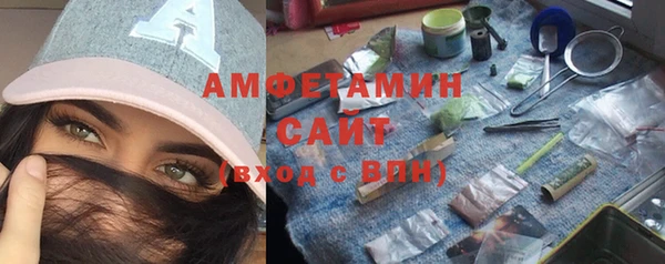 индика Арсеньев
