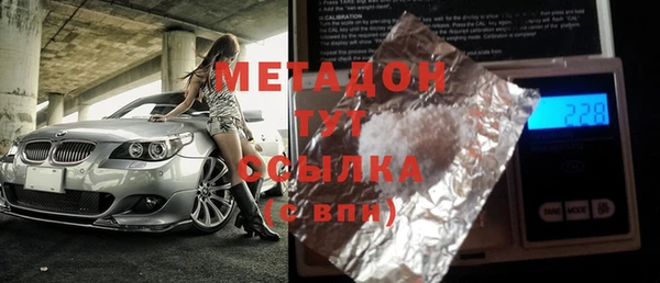 индика Арсеньев