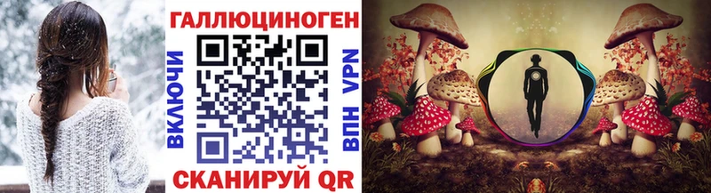 Псилоцибиновые грибы Psilocybine cubensis  ОМГ ОМГ ссылка  Тара 